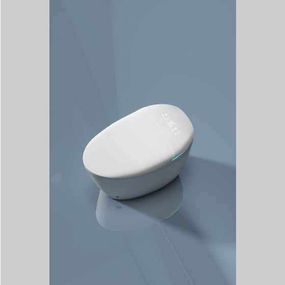 Smart Bidet Toilet Seat