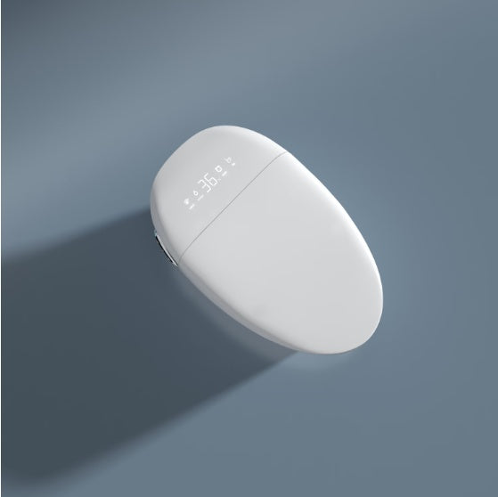 Smart Bidet Toilet Seat