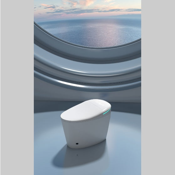 Smart Bidet Toilet Seat