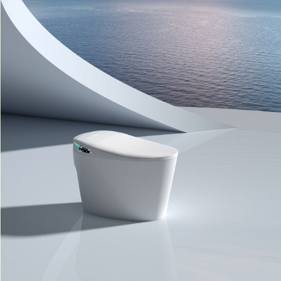 Smart Bidet Toilet Seat