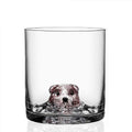 Animal Bear Glass Cup, Creative Animal Design