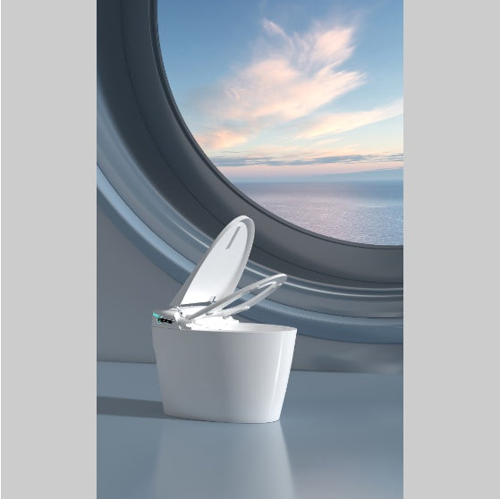 Smart Bidet Toilet Seat