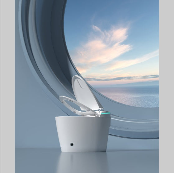 Smart Bidet Toilet Seat